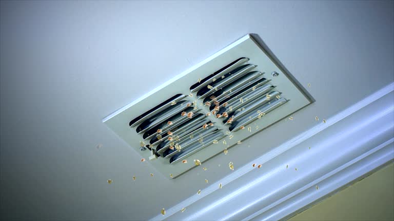 Best Best Air Duct Cleaning Company  in Santaquin, UT
