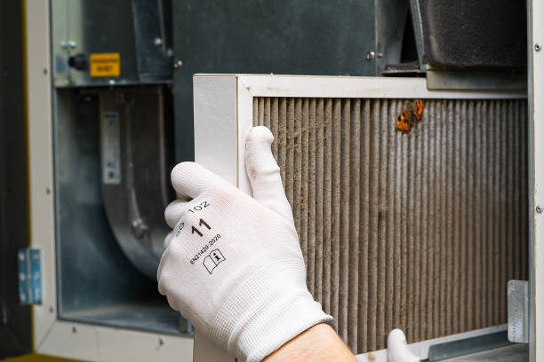 Best Dryer Vent Cleaning Services  in Santaquin, UT