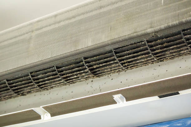 Best Air Duct Cleaning Near Me  in Santaquin, UT